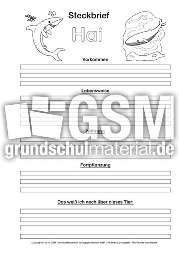 Hai-Steckbriefvorlage-sw-3.pdf